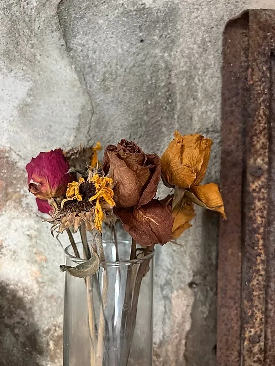 Dried flowers at Quarazzana